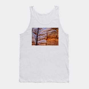 Lick Wash Trail Hike Tank Top